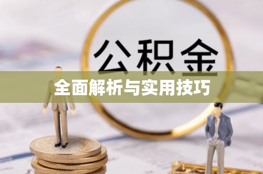 西屿全面解析与实用技巧