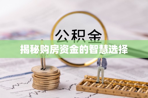 西屿揭秘购房资金的智慧选择