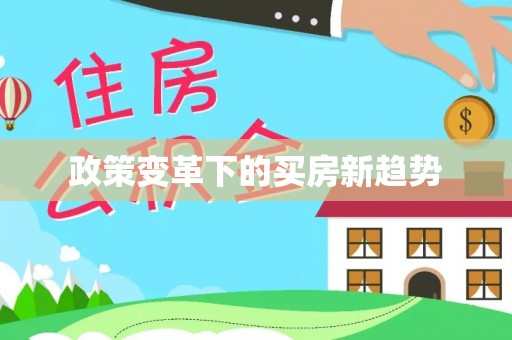 西屿政策变革下的买房新趋势